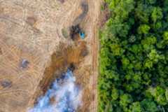 aerial image showing tractors in an empty field with a fire burning and rainforest to the right.