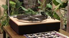 The Majority Folio on a bronze table with plants in the background.