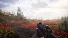 Landscape screenshot from Stalker 2 Heart of Chornobyl
