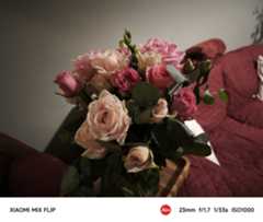 A photo captured on the Xiaomi Mix Flip