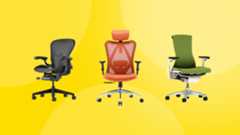 The three best office chairs for back pain relief.