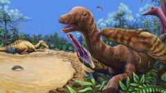 An illustration of two young spinosaurids hunting a juvenile Phuwiangosaurus in Cretaceous Thailand. A large adult spinosaurid rests in the background beside a body of water, while two feathered Kinnareemimus are depicted by trees. 