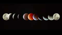 A series of gray circles of the moon imposed upon each other with a red circle in the middle showing a total lunar eclipse