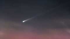 A bright comet with a long tail is pictured against a starry sky above rolling grassy hills. Shrubs are visible and an outcrop of trees are silhouetted against a pink glow in the sky close to the horizon.
