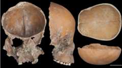 Skulls made into a mask (left), skull made into a cup (right).