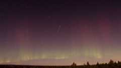 A meteor is pictured shooting through a star-studded sky swirling with auroras above a tree-lined horizon.