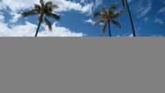 A Snapdragon sign beneath three gigantic palm trees with a blue sky and clouds in the background