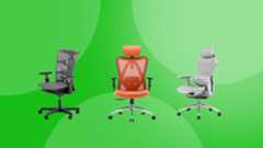 Our three picks of the best budget office chairs.