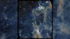 The focus of the image is a portion of LDN 1641, an interstellar nebula in the constellation of Orion. In this view, a deep-black background is sprinkled with a multitude of dots (stars) of different sizes and shades of bright white. Across the sea of stars, a web of fuzzy tendrils and ribbons in varying shades of orange and brown rises from the bottom of the image towards the top-right like thin coils of smoke.