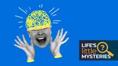 Shining brain inside woman's head illustration