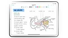 Best note-taking apps: Screengrab of Nebo