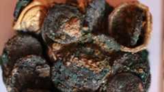 a clump of burnt and charred coins
