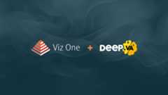 Viz One and Deep.va logos