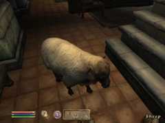 The Elder Scrolls 4: Oblivion Remastered