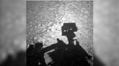 A gray-scale photo showing a shadow of NASA's Curiosity Mars rover on the ground, with its square Mastcam "head" overlaid on a rocky terrain of "boxwork" patterns across the Martian landscape.