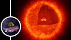 (Main) An illustration of a "black hole star" (Inset) the JWST