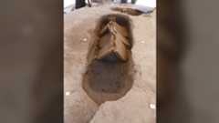 a Roman cremation grave with roof tiles