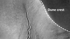 A gray scale image showing a labeled "dune crest" at the edge of a Martian gulley with wind patterns showing the geology of the formation.