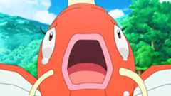 A Pokemon called Magikarp looking stressed on screen