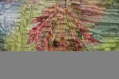 An example of how to use blend modes in Photoshop