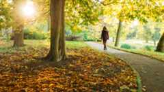 A woman walks through a park on a sunny autumn morning