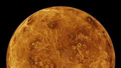 A view of the top of Venus