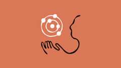 Anthropic Claude 4.5