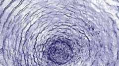 Concentric squiggly rings of purple wrap around each other over a light background