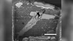 A gray scale photo shows various light and dark lumps across the rocky sample from the near-Earth asteroid Bennu