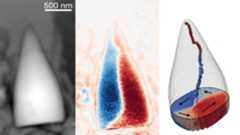 Three images side by side of a tooth-shaped fossil with various colors showing magnetic direction