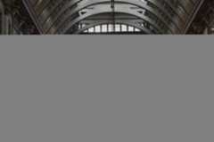 Nikon D3500 sample image