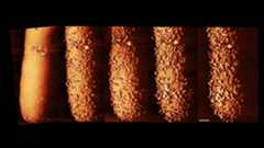 a time-lapse series of microscope images of the outer shell of a rod-shaped bacteria disintegrating