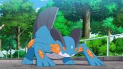 A screenshot of Swampert in the Pokemon anime series.