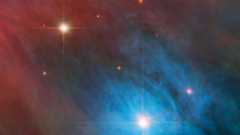 The bright star V 372 Orionis and its companion are captured in this new Hubble image, surrounded by large cross-shaped diffraction spikes. Small red stars with shorter diffraction spikes are scattered around them, against a background of red and blue gas clouds. 