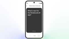 Flashcard and quiz support in the NotebookLM. 