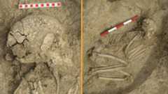 A photo of the found skeletal remains in the dirt. The skeleton is lying on its left side, in the fetal position. 