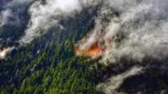 A wildfire is seen in a forested mountainside, with orange flames among green pine trees and smoke drifting to the top right of the image