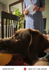 A photo captured on the Xiaomi Mix Flip