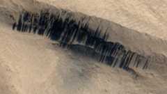A series of black streaks across a brown sandy surface