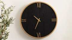 black clock with Roman numerals on it on a wall next to a plant