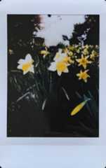 Sample image from the Fujifilm Instax Mini 12