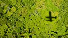 Aerial shot of a lush rain forest with the shadow of a plane over it.