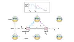 The double pulse waveform that indicates DOMs have detected tau neutrinos.