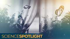 An illustration of a person pulling back a curtain full of colorful insects to reveal a deserted landscape