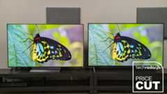 LG C5 (left) and LG B5 (right) showing butterfly on screen with white price cut logo in corner