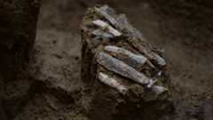 a pile of carved stone blade-like objects in a cluster together in the dirt