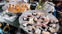 A metal plate full of sushi with seaweed, rice, and spam sit on a table next to another plate with shrimp tails on crackers served on it