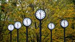Clocks stand in a row in front of autumn trees