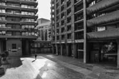 Nikon D3500 sample image