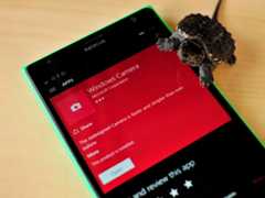 Windows Camera app with turtle